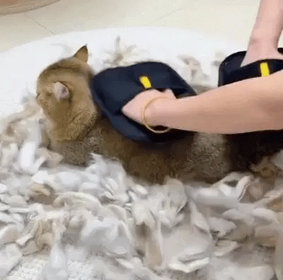 Pet Hair Remover Glove - PurePath™