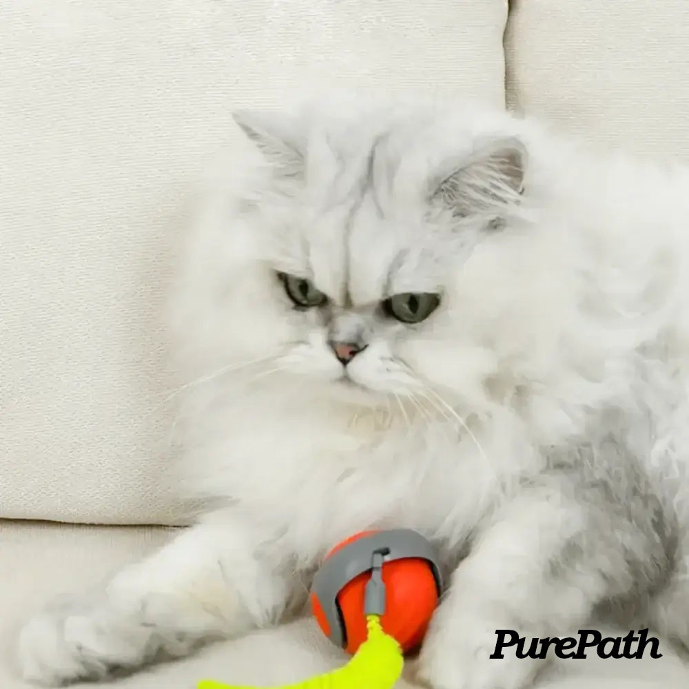 Speedy Tail 2.0 - PurePath™ Toys