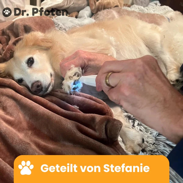 PawTrim Pro™ - Painless paw care in seconds