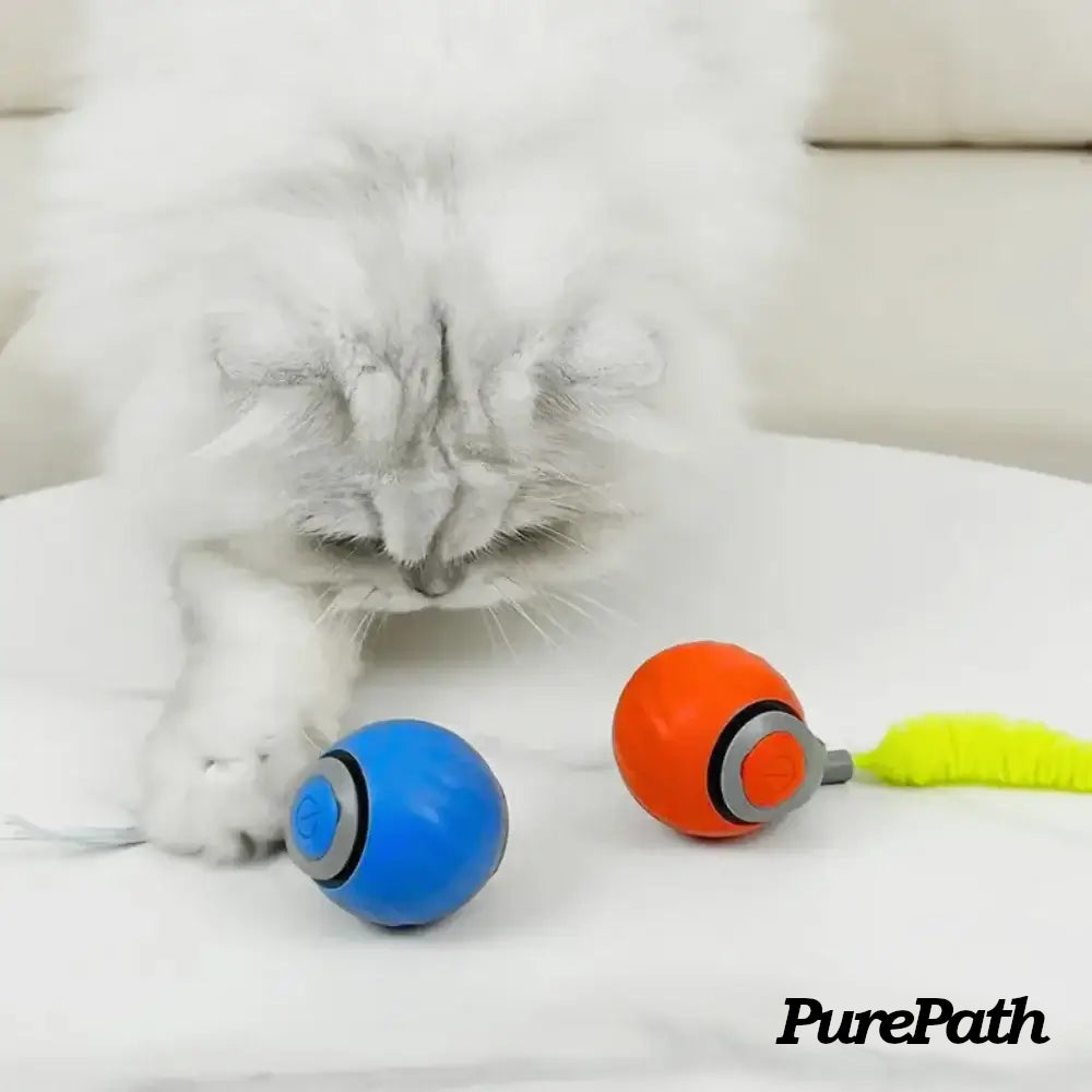 Speedy Tail 2.0 - PurePath™ Toys