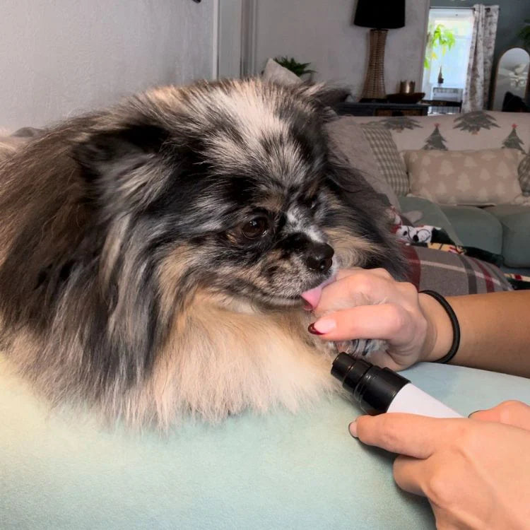 PurePath™ QuietPaw Nail Grinder