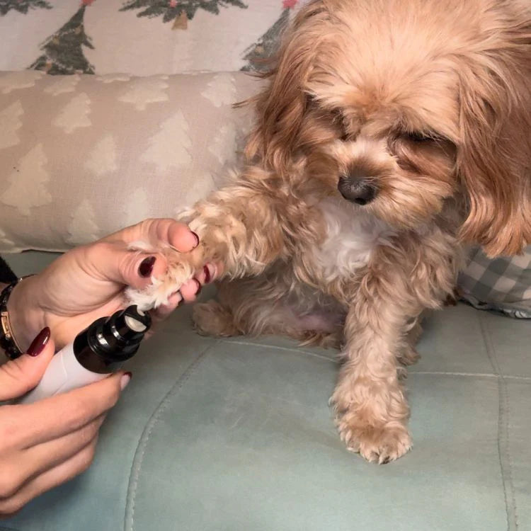 PurePath™ QuietPaw Nail Grinder