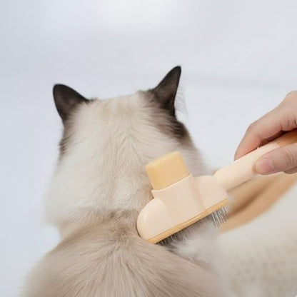 Groomer Brush - PurePath™ - PurePath™