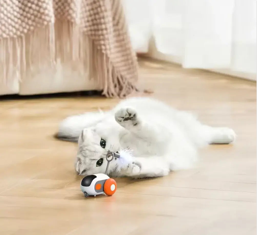 Turbo Tail 2.0 - PurePath™ Toys