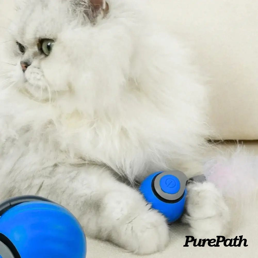 Speedy Tail 2.0 - PurePath™ Toys - PurePath™