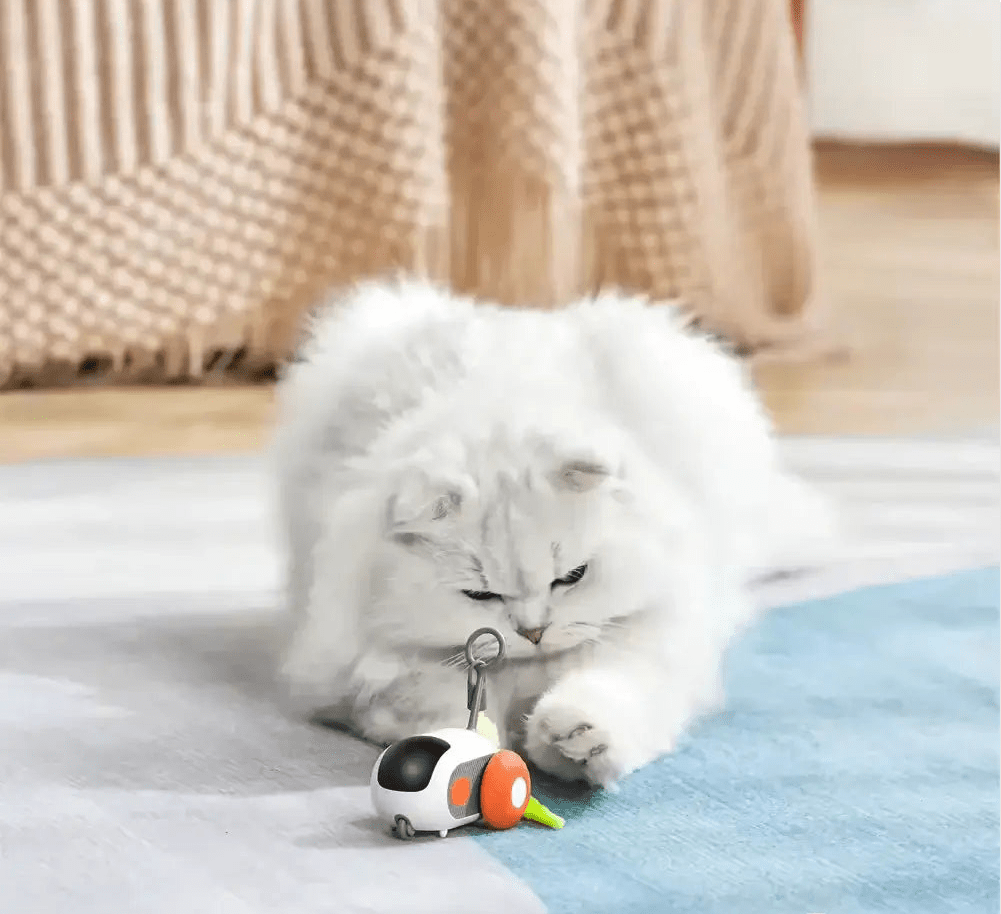 Turbo Tail 2.0 - PurePath™ Toys - PurePath™