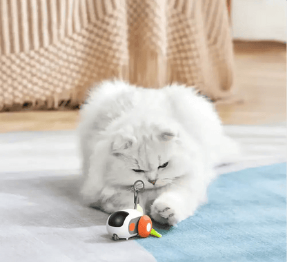 Turbo Tail 2.0 - PurePath™ Toys - PurePath™