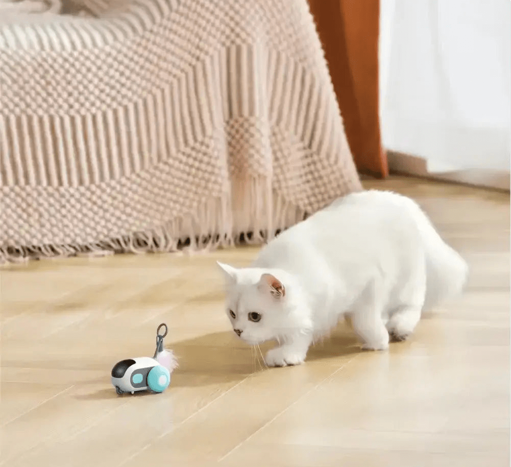 Turbo Tail 2.0 - PurePath™ Toys - PurePath™