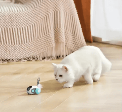 Turbo Tail 2.0 - PurePath™ Toys - PurePath™