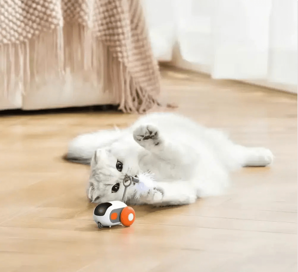 Turbo Tail 2.0 - PurePath™ Toys - PurePath™