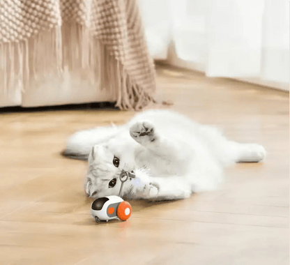 Turbo Tail 2.0 - PurePath™ Toys - PurePath™